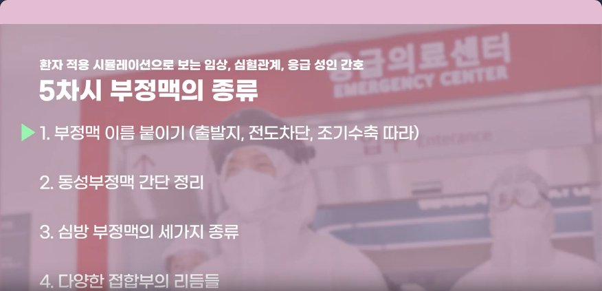 환자 적용 시뮬레이션으로 보는 임상 심혈관계, 응급 성인 간호