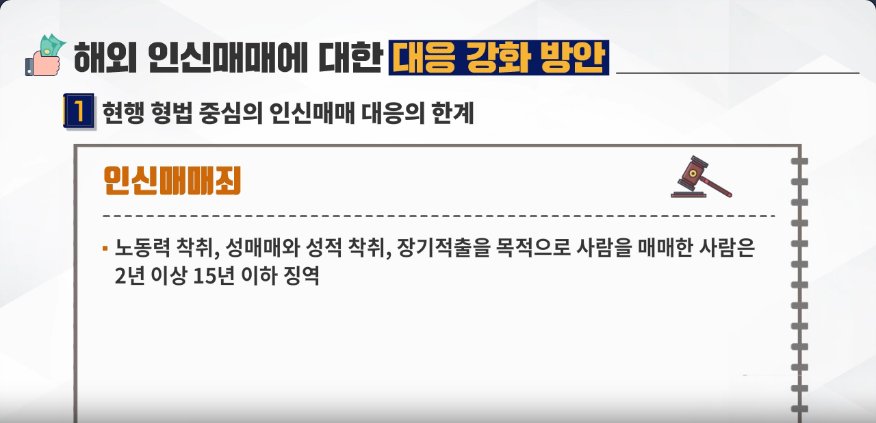 열혈 변호사 신주영의 법정탐구_성매매 예방 교육